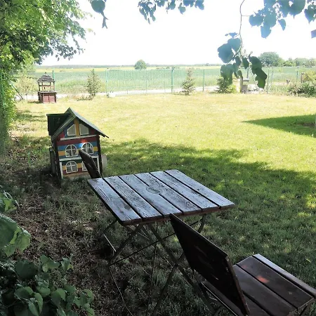 In Near Baltic Sea * Wrzosowo (Kamien)